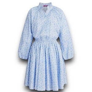 J. Crew Factory Blue Floral Long Sleeve Dress
